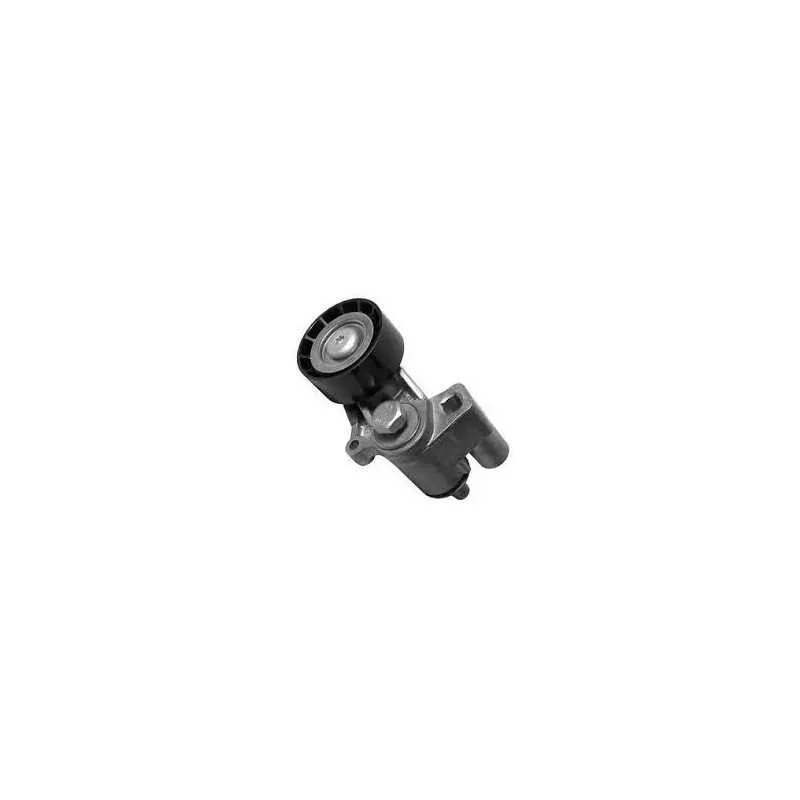 Berlingo Galet tendeur Galet tendeur : Citroen , Fiat , Lancia , Peugeot ( moteur : 1.8 , 1.9 , 2.1 D et TD )