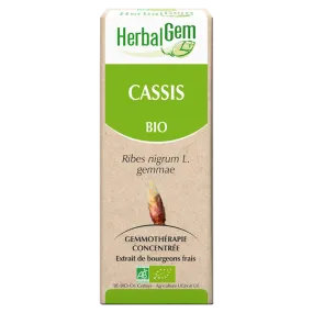 Cassis Bio, 30ml | Herbalgem  - Parapharmacie Boticinal