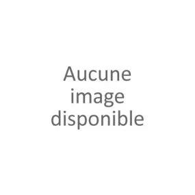 Short coloris tabac femme