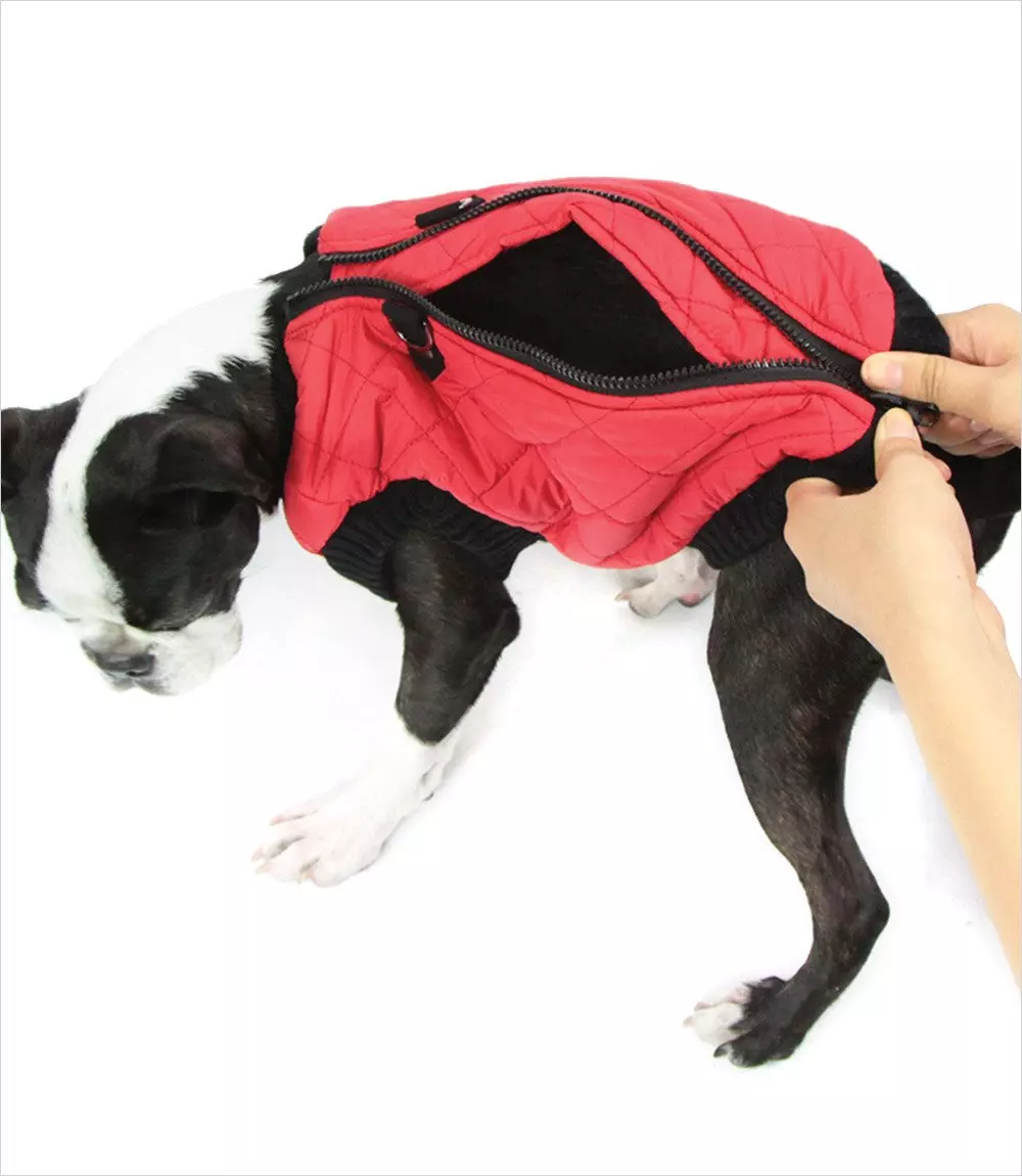Veste Fashion Rouge écossaise